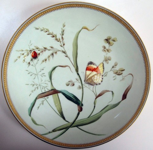 Minton plate with - , butterfly