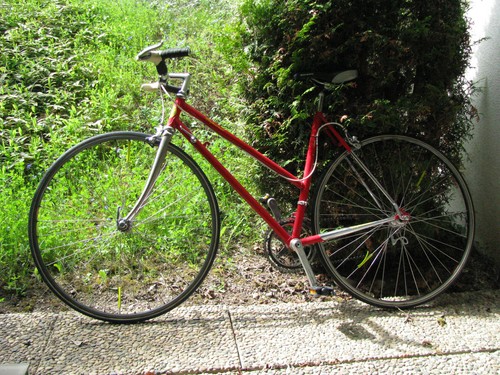 Bicycle faggin professional - faggin,