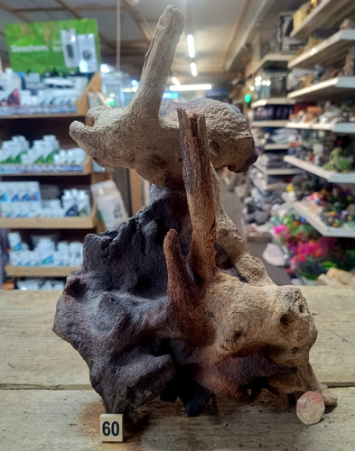 Large 47cm mopani wood - mopani,