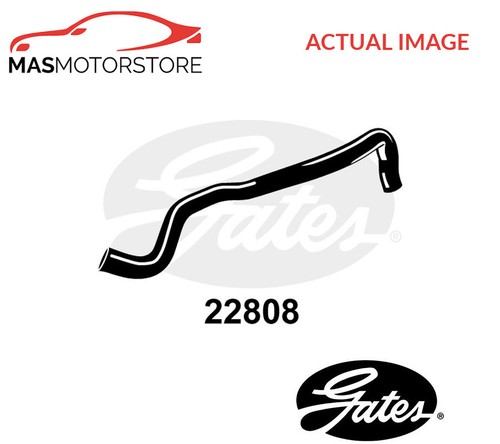 Radiator hose lower gates - hose,