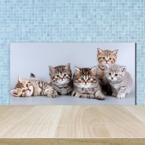 Tulup kitchen glass splashback - tulup,