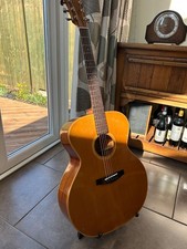 Ibanez Pro-Special Series