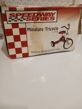 Speedway Series Miniature