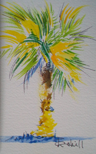 Sunburst yucca original - sunburst,