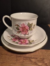 Paragon 'Prairie Rose' Bone