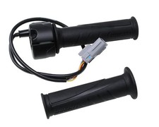 Throttle Ducati Monster 821