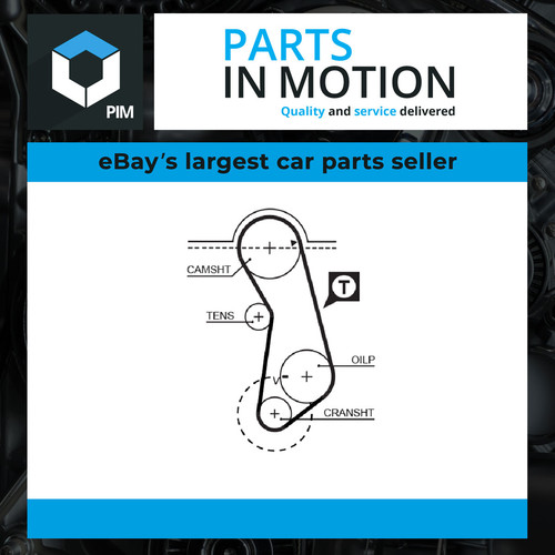 Timing belt 5016 - timing,