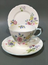 Shelley Bone China  “ Wild