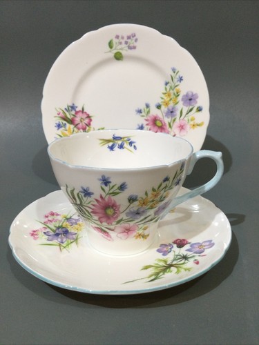 Shelley bone china wild - shelley,