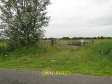 Photo 6x4 Cattle crush on Horsey marshes  c2015