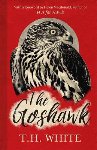 The goshawk with new - the, a