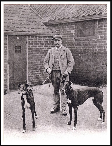 Greyhound man and dogs - dogs, vintage