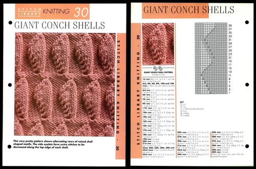 Giant conch shells 30 - shells, #30