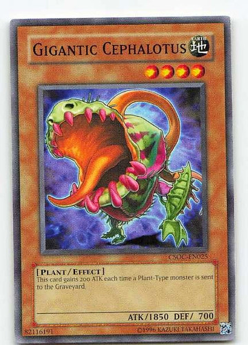 Gigantic cephalotus csoc en025 - gigantic, csoc-en025
