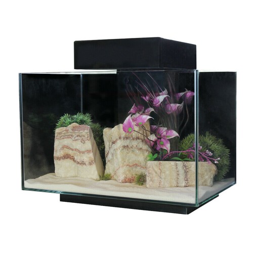 Aquarium fish tank aqua - tank, one