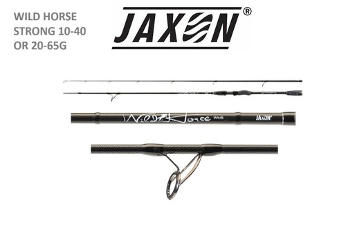 Jaxon wild horse - jaxon,