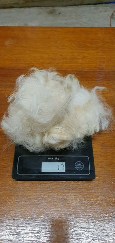 Staple raw white - gm,
