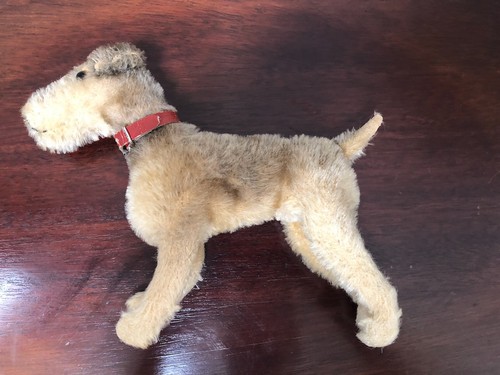 1933 steiff jack - steiff, terrier