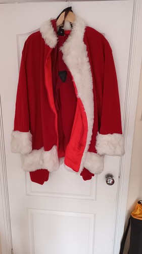 Professional plush santa claus - professional,