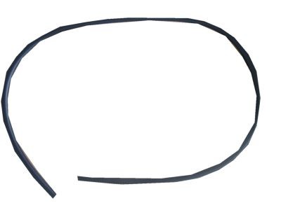 Molding front windshield - front,