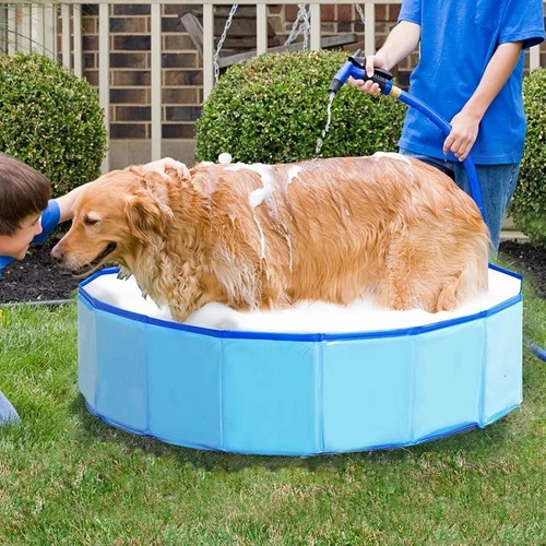 Large foldable dog swimming - large,