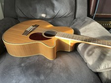 Freshman 12 String Guitar