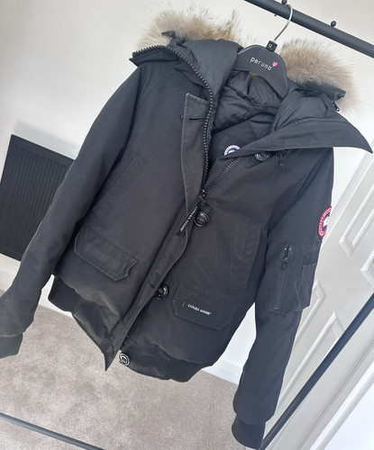 Canada goose chilliwack - goose,