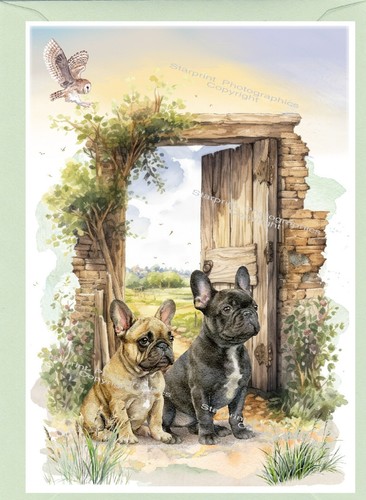 French bulldog frenchie dog - french,
