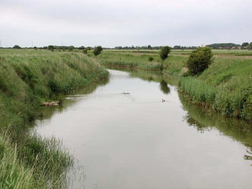 Photo 6x4 winestead drain near - winestead,
