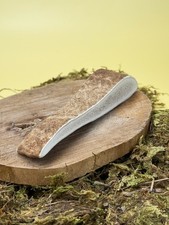 Fallow Deer Antlers for Dogs |