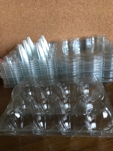 Quail egg boxes hole - 12,