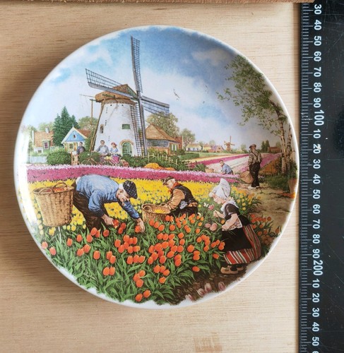 Royal schwabap holland dutch - royal,