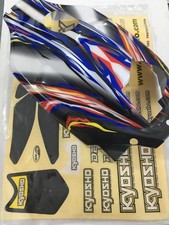 NEW  Body Set Painted suit DBX