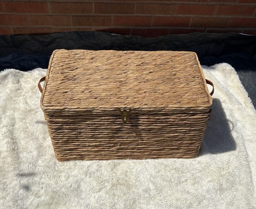 Vintage two lion - vintage, chest