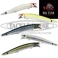 Tackle House Feed Shallow Plus