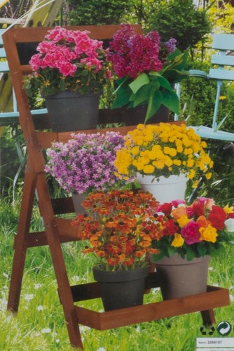 Plant pot stand tiers flower - plant,