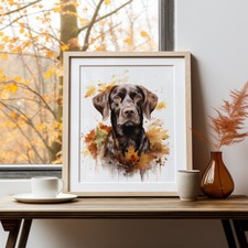 German Shorthaired Pointer in