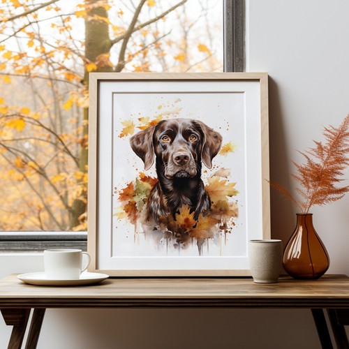 German shorthaired pointer - german,