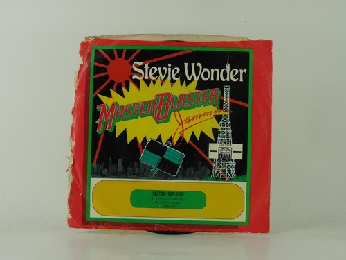 Stevie wonder master - stevie,