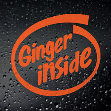 Ginger Inside Funny Car