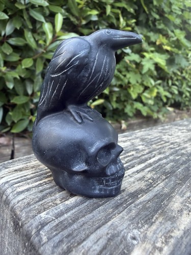 Obsidian raven skull - raven, on