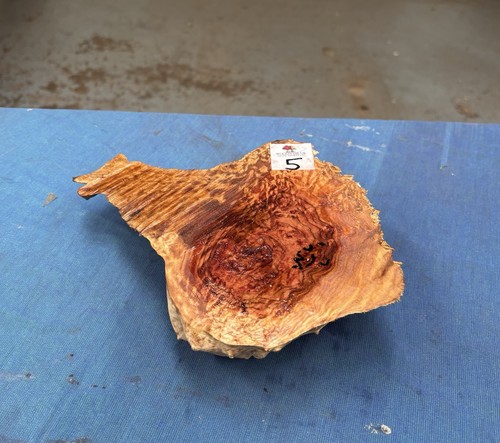 Red mallee burl - /, /