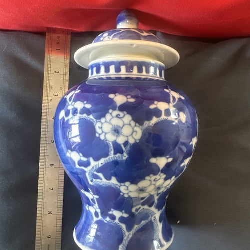 Prunus jar qing chinese - prunus,