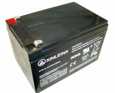 RiiRoo 12V 10AH Rechargeable