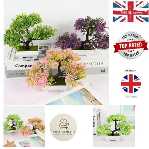 Bonsai tree home room table - bonsai,