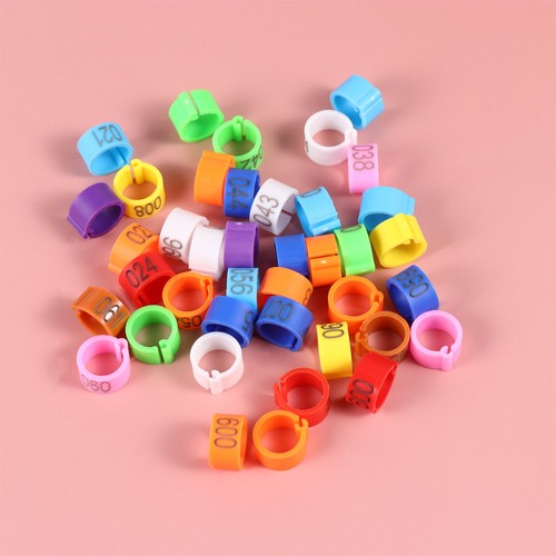 100 pcs budgie rings - pcs,