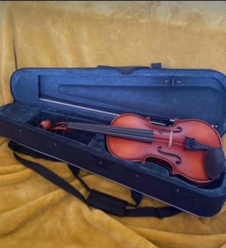 Viola primavera 200 full - 13",