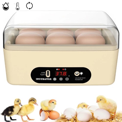 Egg incubator for hatching - incubator,