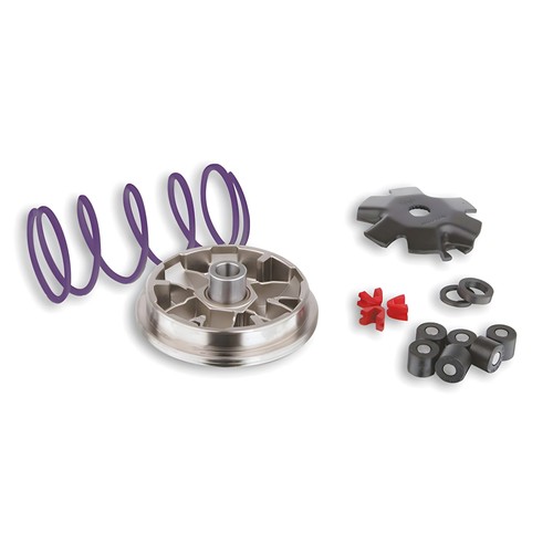 Variator malossi for - for, scooters