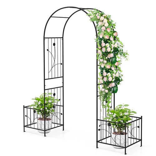 Iron garden arch - garden, climbing